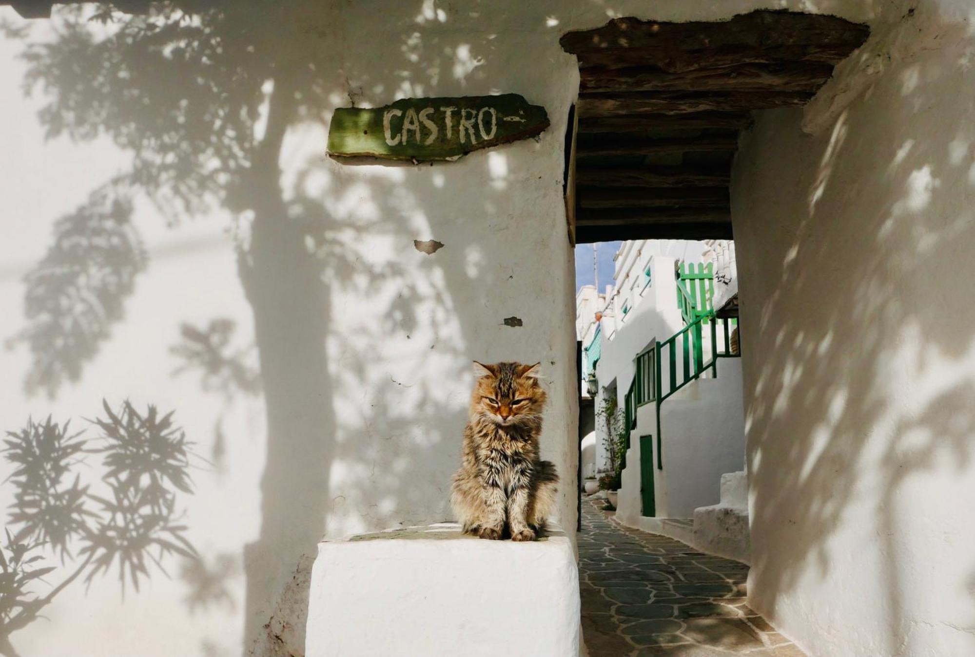 Folegandros-Cliffhouse Vila Exterior foto